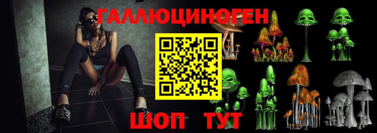 закладки  Галлюциногенные грибы Magic Shrooms  Вход с VPN  Кашира 